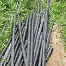 정돈농장2 이미지