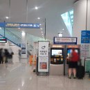 N7001 | 인천공항 2여객터미널 서울 경기 심야버스 노선 시간 공항철도AREX 직통열차