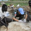 신구가축 이미지