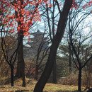 유금와당박물관 이미지