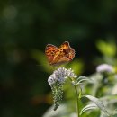 산모퉁이 이미지