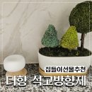 장미화분 모양 석고방향제 | 더향 석고 방향제 아로마 스톤 디퓨저 실사용후기