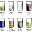 미스킨 이미지