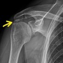 슬기로운정형외과의원 이미지