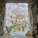 경기도 수원시 권선구 수원천로 2 이미지