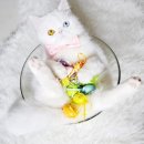오드아이 파이낸셜뉴스