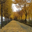 송정제방길 이미지