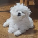 지앤유 | &lt;자유수영&gt;-진주 수영장/경상대 수영장/GNU스포츠콤플렉스- 비회원 이용하기/일일 자유수영