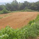 지주공인중개사사무소 이미지