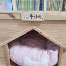 둥이네 이미지