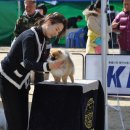 이천공설운동장 이미지