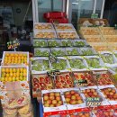 안동청과물합자회사 | 안동청과 공판장 2025년 10월 추석 영업일