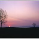 번개목장 이미지