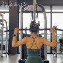 루트휘트니스 이미지