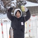 정도태권도 이미지