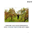 대인생역전