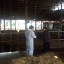 호남축사 이미지