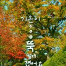 ^^원광/금호노래교실/남자의인생/나훈아. 이미지