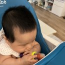 크립토마토 이미지