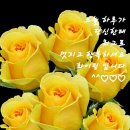 선물같은 하루 이미지