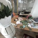 D-9 이미지