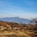 양평농협 강상주유소 이미지