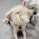 JHcompany(제이에이치컴퍼니) 이미지