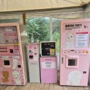 홍천 레인보우 | 40개월 아기랑 홍천 알파카월드 후기