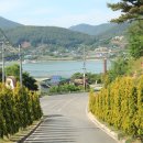 들꽃효소마을 이미지