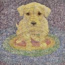 눈편안세상 이미지