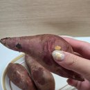 해남고구마식품(주) | [식품리뷰] 해달농장 해남 꿀고구마 베니하루카 후기, 찐고구마와 군고구마요리로 즐기는 건강간식