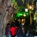 (주)레인보우여행사