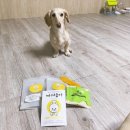 지연이네 강아지 고양이 수제간식 | 댕댕이에게 간식 선물하기_기흥구수제간식[까까쥬아]