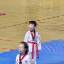 충무태권도체육관 이미지