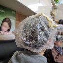 샴푸보이 이미지