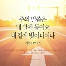 구원의 기쁜소식 998 이미지
