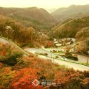 보은 이미지
