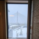 리메디칼 이미지