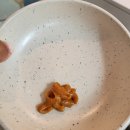 딜라잇펫 이미지