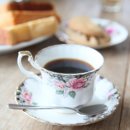 미스타페오 이미지