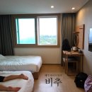 헤이, 서귀포 | 제주 남쪽 서귀포 숙소 헤이서귀포 비추 후기