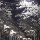 호근서호로 이미지