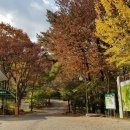 토함산 자연휴양림 이미지