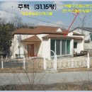 여주-0439 Daum카페