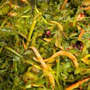 만복밥집 이미지