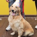 친구엄마 이미지