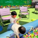 대전 엑스포 아쿠아리움, 대전아쿠아리움, 대전 신세계 아쿠아리움 진솔한 후기