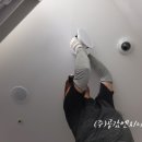 일등전기조명 이미지