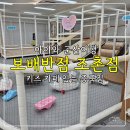 보배반점조촌점