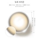 렌즈미 | 렌즈미 누오 브라운 렌즈 착용후기 (내돈내산)